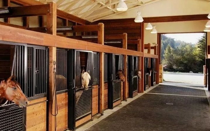 Конюшня Конюшня