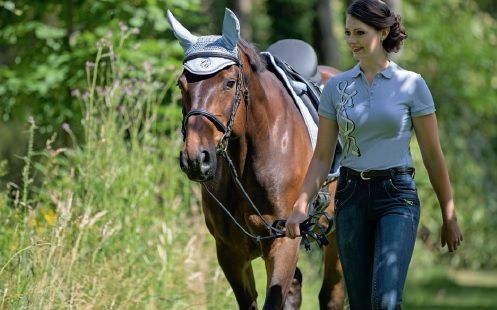 Лошадь Лошадь