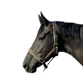 Недоуздок "PRIMAVERA" Fair Play Недоуздок "PRIMAVERA" Fair Play